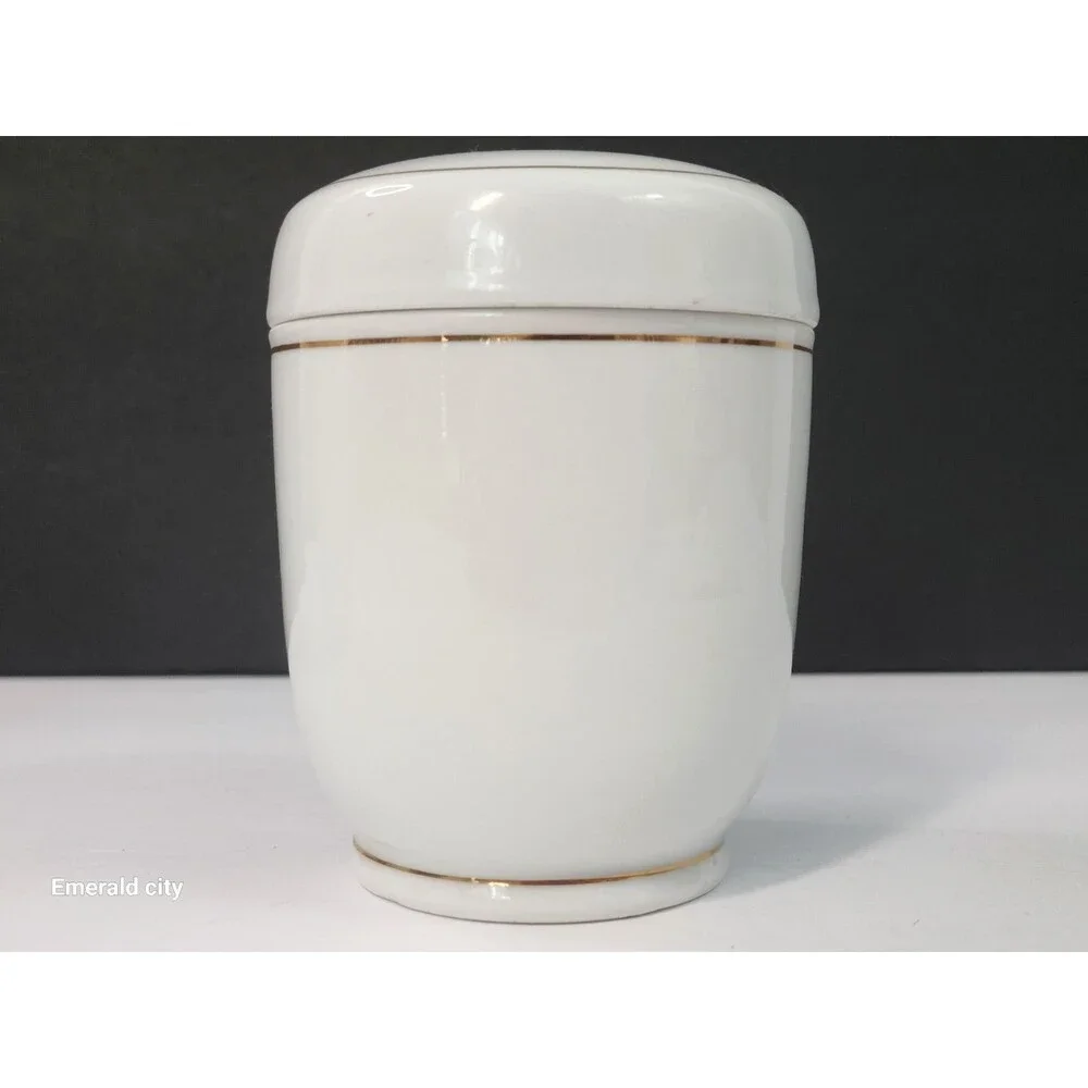 Vtg White Asian Ceramic Jar Lidded Spices Condiment Taiwan Turtle decor Set of 2